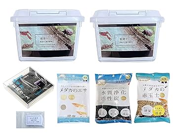 メダカなどの飼育ケース　セット売り 楽天市場】メダカ飼育ケース 容量2.4L : 100円雑貨＆日用品卸-BABABA